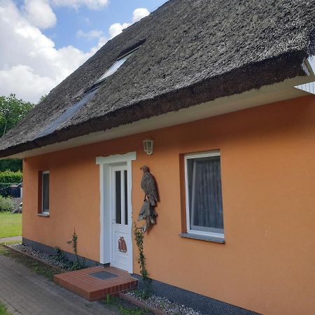 Buhne II Og Apartment Wieck Luaran gambar